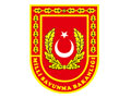 türk sav